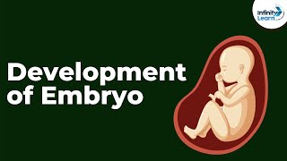 Development of Embryo | Reproduction in Animals | Don't Memorise