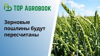 Зерновые пошлины будут пересчитаны | TOP Agrobook: обзор аграрных новостей