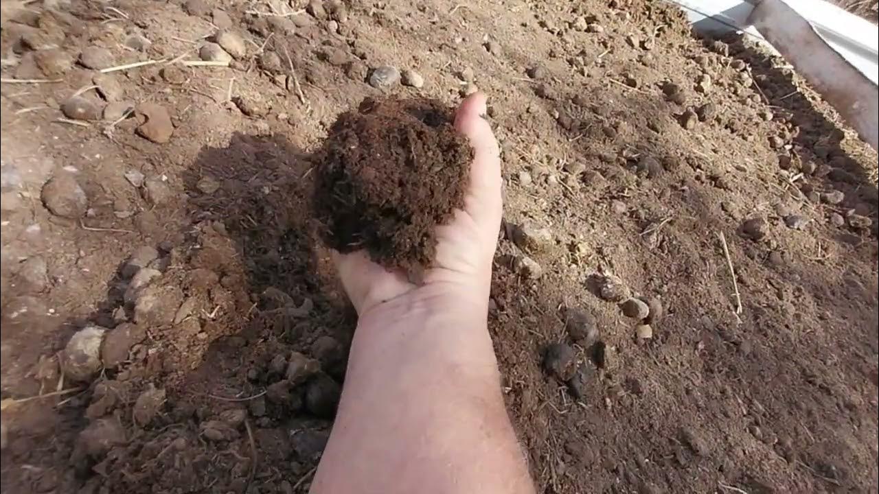 PLANTING OUR DIXONDALE ONIONS HUGELKULTUR GARDEN BED YouTube