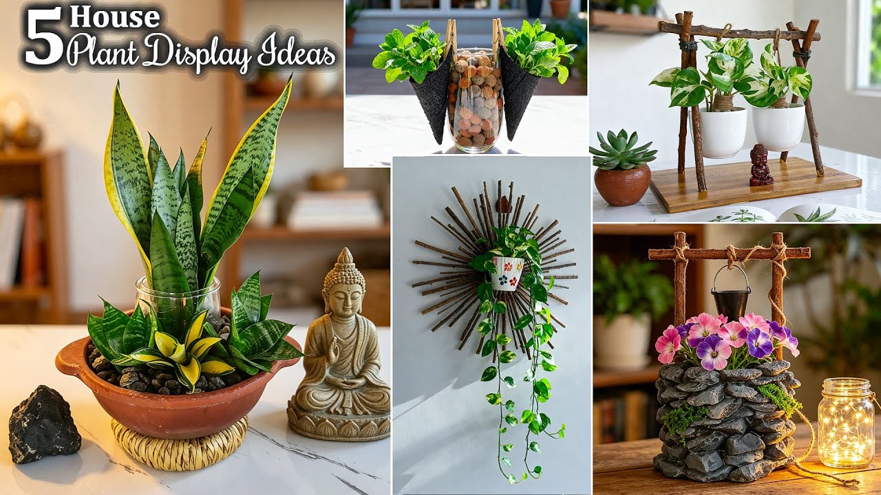 5 Aesthetic & Luxury Look Indoor Plant Arrangement Ideas to Transform Your Space//GREEN PLANTS