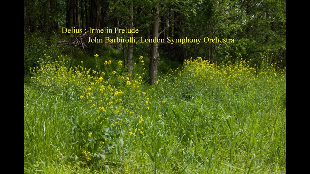Delius : Irmelin Prelude