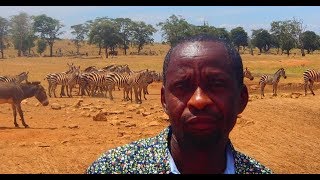 Man Drives Hours Every Day In Drought To Bring Water To Wild Animals Resimi