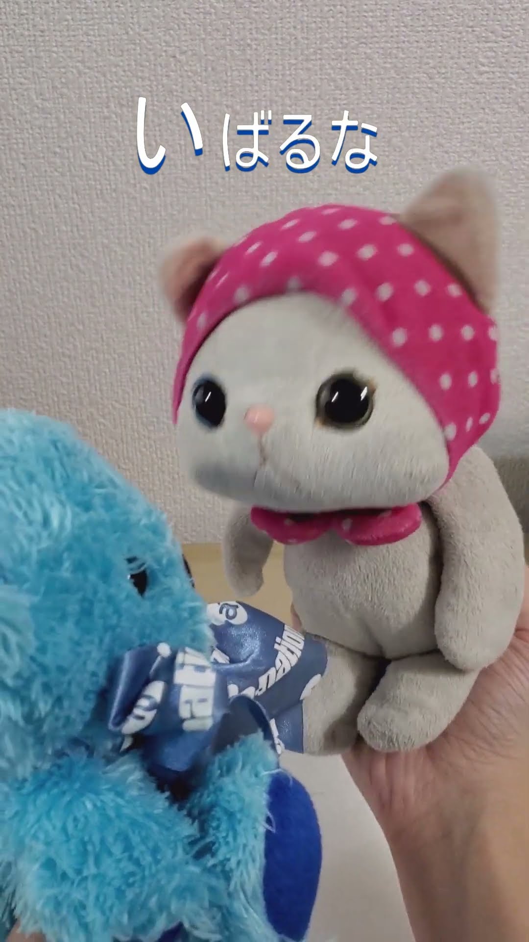 あおいくま 【#stuffed #happy #ぬいぐるみ #自己啓発】 - YouTube