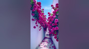 تلاوة خاشعة ما تيسر من 🌺سورة يونس 🌺القارئ الشيخ🌺 ياسر الدوسري 🌺قرآن كريم 🌺