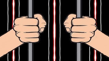 Visualizer by Andronaut - #44