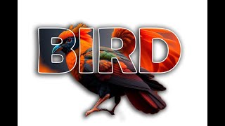 Typography Poster Design in Photoshop | Masking Effect Tutorial