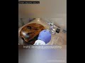 Epoxy Beistelltisch - Lichtenbergeffekt - Epoxy Coffeetable - Harztische - Teakholz