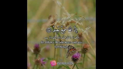 سورة الحج: ٧٣-٧٥|Al Hajj: 73-75|علي جابر|Ali Jabir|قرآن اردو ترجمہ| Quran with Urdu Translation