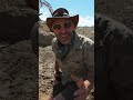 MASSIVE T. REX TOOTH FOUND!
