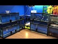 More Tanks! Double stack wrought iron stands More Tanks! Double stack wrought iron stands