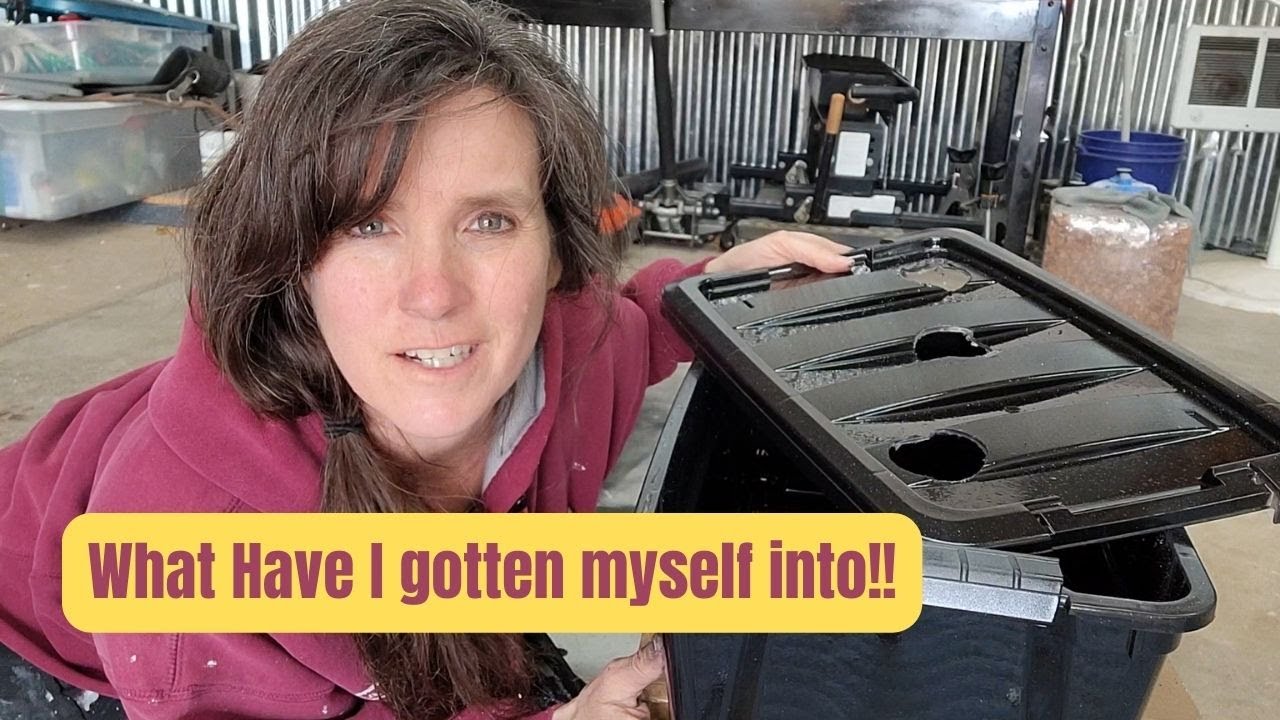 Hydroponics With A Pool Noodle Can I do It? "The Kratky Method" YouTube