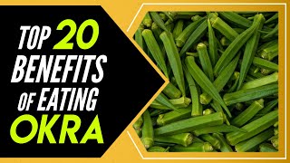 Top 20 Benefits of Okra Vegetable - Lady Finger (Bhindi) 🔥 Placz Go