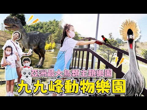 親子旅遊 │ 南投景點 推薦 │ 九九峰動物樂園 │亞洲最大鳥樂園 │ 妹比睿弟