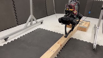 Balance Beam Walking Robot