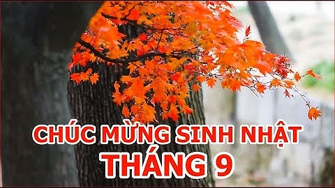 Chúc mừng sinh nhật | Câu nói hay, lời chúc đẹp, clip vui