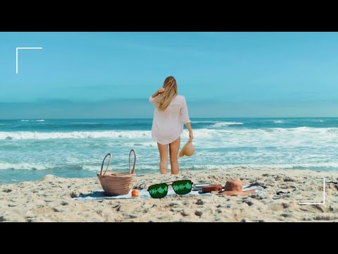 Papaya Tropical Gitana En Galaxidi