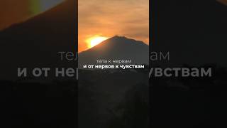 Что-то на умном ⚠️