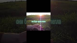 #музыка #альберткабуу #music #апфс #кишлак #shorts #viral #song