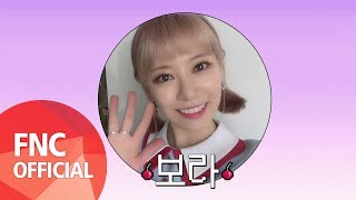 [체RE:VIEW] Q&A M/V BONUS BEHIND '보라'