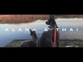 Thai Ridgeback Alana & Thai の動画、YouTube動画。