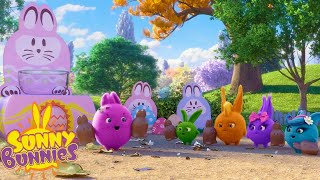 SUNNY BUNNIES - Chocolate Bunnies for Everyone | Season 3 | Cartoons for Children