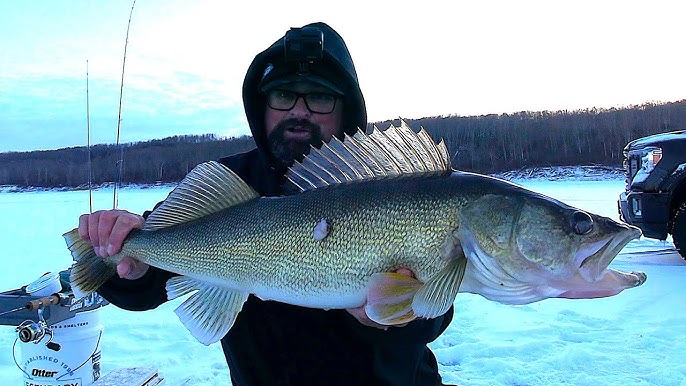 Testing Out a NEW Lure for GIANT Walleyes! (Frostbite Scissorkick