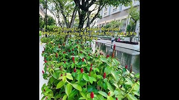 Tiện Ích nội khu Q7 Saigon Riverside Quận 7 . Khách quan tâm mua hay thue nhớ nhắn e Songle