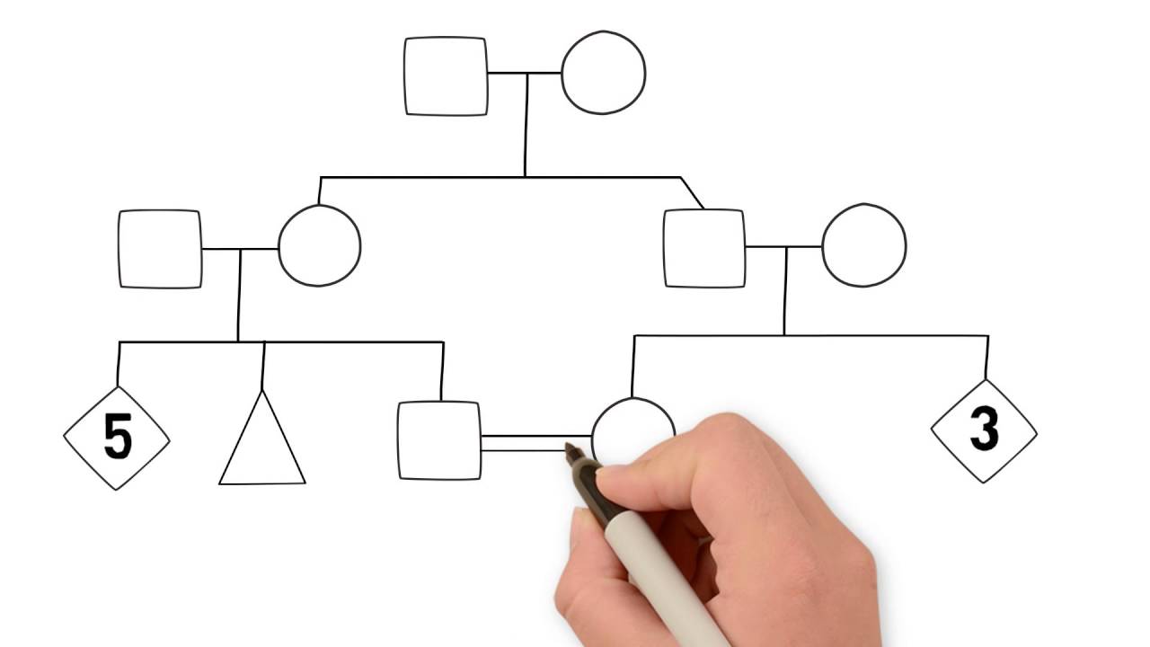 Simple Family Pedigree Chart