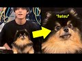 Yeontan hates BTS 🤭