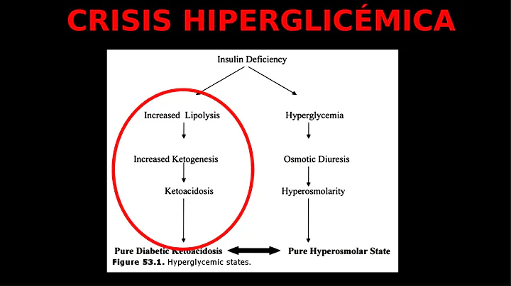 1.1 cursillo, terapeutica hdm