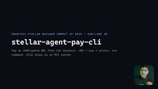 Stellar Agent-Pay CLI