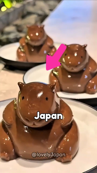 Little Things in Japan That Show Big Surprising