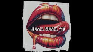 Download lagu CHA CHA NUMA NUMA YE [WILLYSTVNO]edit