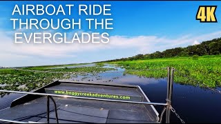 Scenic Airboat Ride in 4K - Ride through Florida's Everglades
