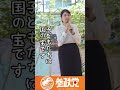 【参政党】では、子育てママも頑張ってます!#参政党 #shorts #福井県