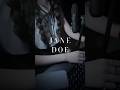 'JANE DOE' チェンソーマン レゼ篇 - Cover　#shorts