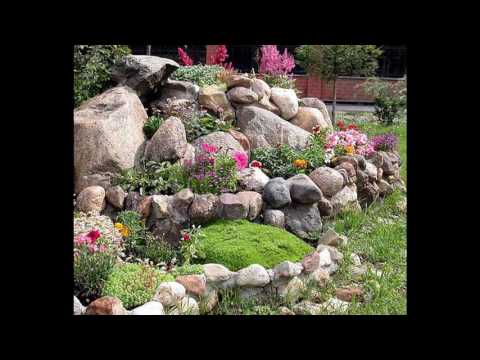 Video: Flores y plantas para jardines rocosos: cómo diseñar un jardín rocoso
