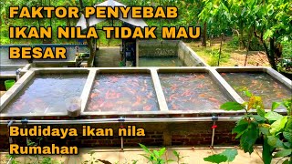 FACTORS THAT CAUSE NILE FISH TO HAVE DIFFICULTY IN GROWING / TAKE A LONG TIME TO GROW - HOME-BASE...