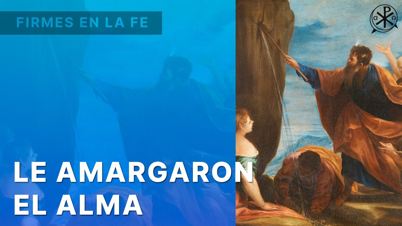Le Amargaron el alma| Firmes en la fe - P. Gabriel Zapata - YouTube