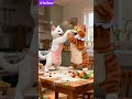 Duo Kucing Koki: Dari Berantem Jadi Ketawa#DuoKucing#KucingLucu#CatChef#funnycats