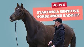 TRT Method Virtual | The Sensitive Young Horse