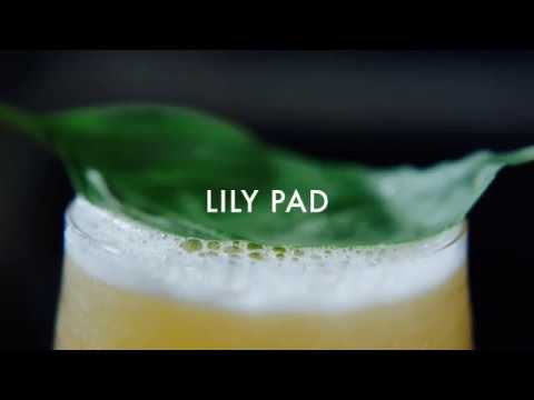 How to make the Lily Pad Santera Tequila cocktail - video from SANTERA TEQUILA