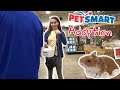 GETTING MY NEW HAMSTER! PETSMART ADOPTION!