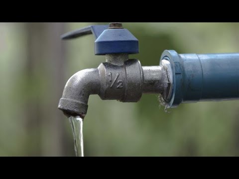 Video: Un grifo en tu jardín