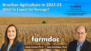 Brazilian Agriculture in 2022-23. What to Expect for Acreage?