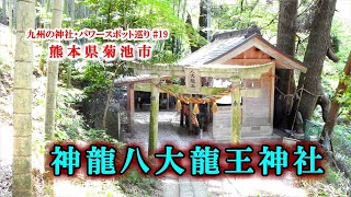宇宙最高の神 神龍八大龍王神社 は金運が舞い込むパワースポット 旅行 お出かけの情報メディア