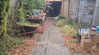 Her LANDLORD is a HOARDER - Part 3 | SWOOPING birds and ATTACKING wasps!!!