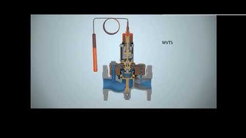 Thermo-operated water valves