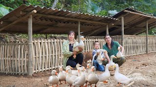 How to make a duck coop from bamboo, build a farm life