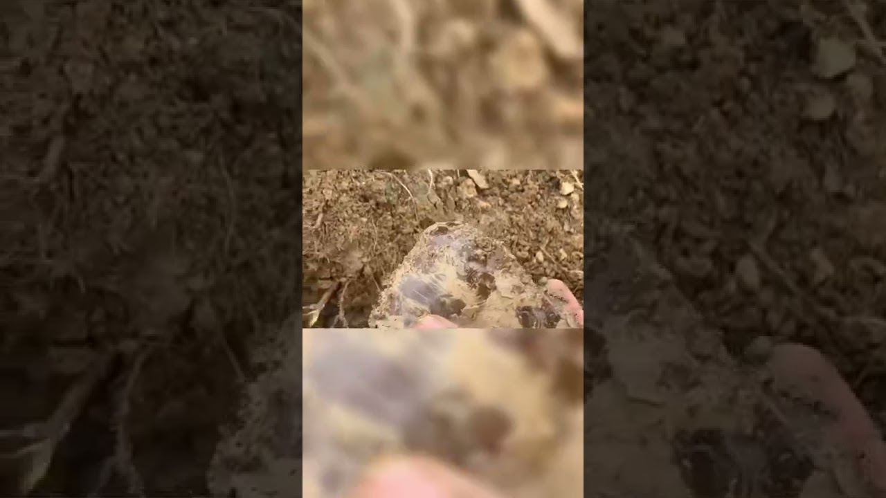 Surprise crystal quartz 